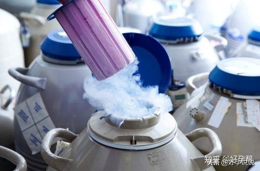 如果你因为多囊卵巢综合症而发胖，你能从供卵做试管中获得优质的卵子吗？