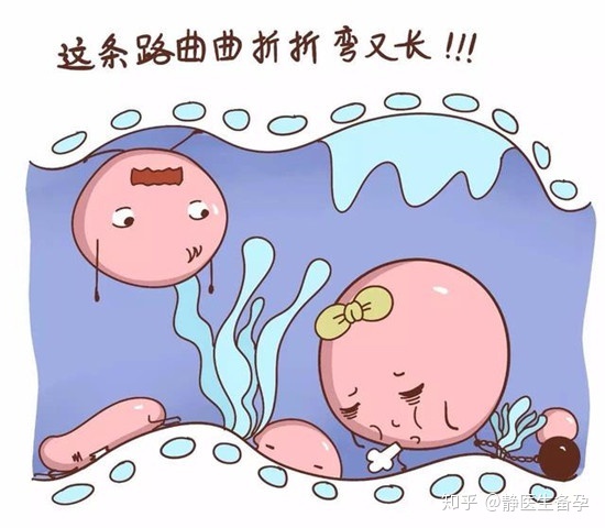做借卵代怀试管代生是在中山一院好还是在广州三院好？