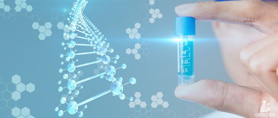 赠卵三代自怀试管中ICSI的详细解释