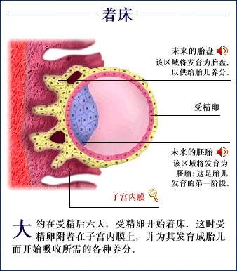 供卵代怀借卵试管将来会有生育能力吗？