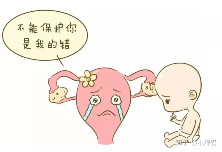 男人应该为供卵试管三代自怀做什么？