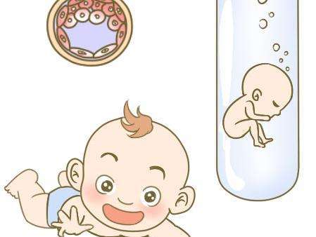 男性在借卵做试管婴儿前应注意什么？