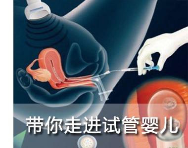 供卵代生自怀胚胎怎么看是男是女