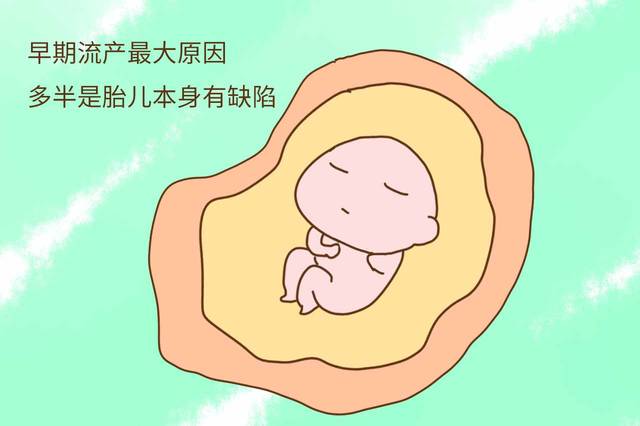 做借卵试管胚胎有几个等级