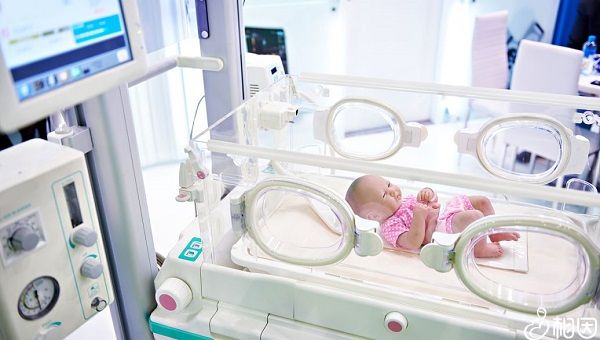 女生和女生赠卵试管婴儿只能是女孩吗