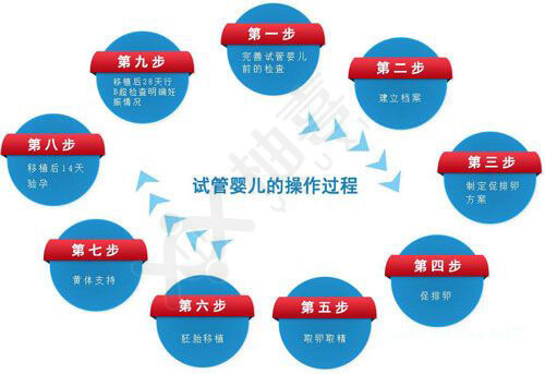 借卵做试管婴儿第一次b超检查什么
