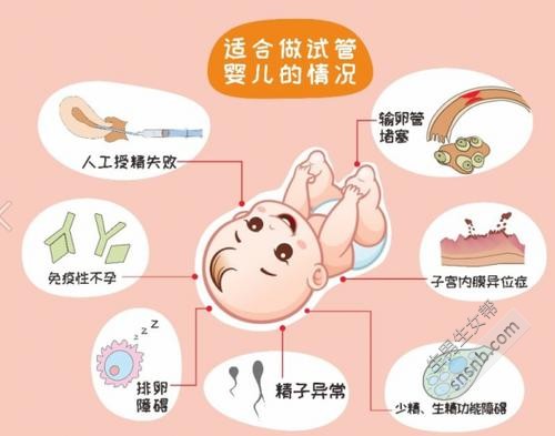赠卵试管什么季节成功率高
