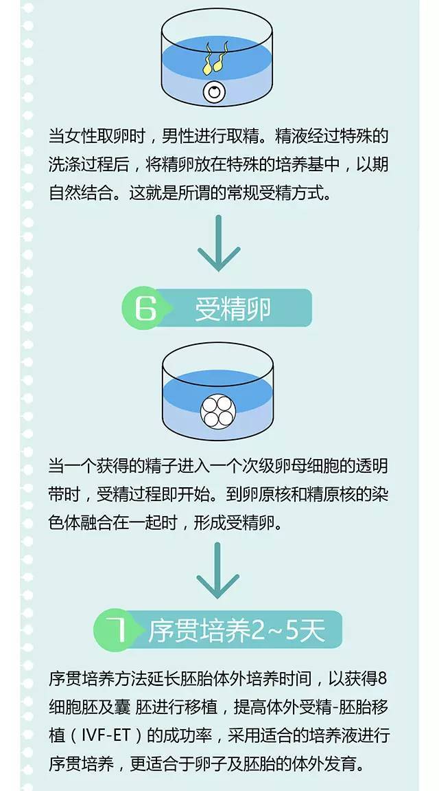 赠卵试管降调和不降调的区别