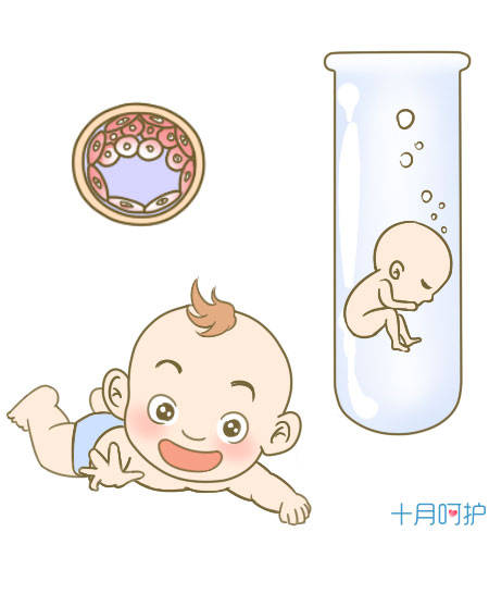 试管婴儿的全部费用大概是多少