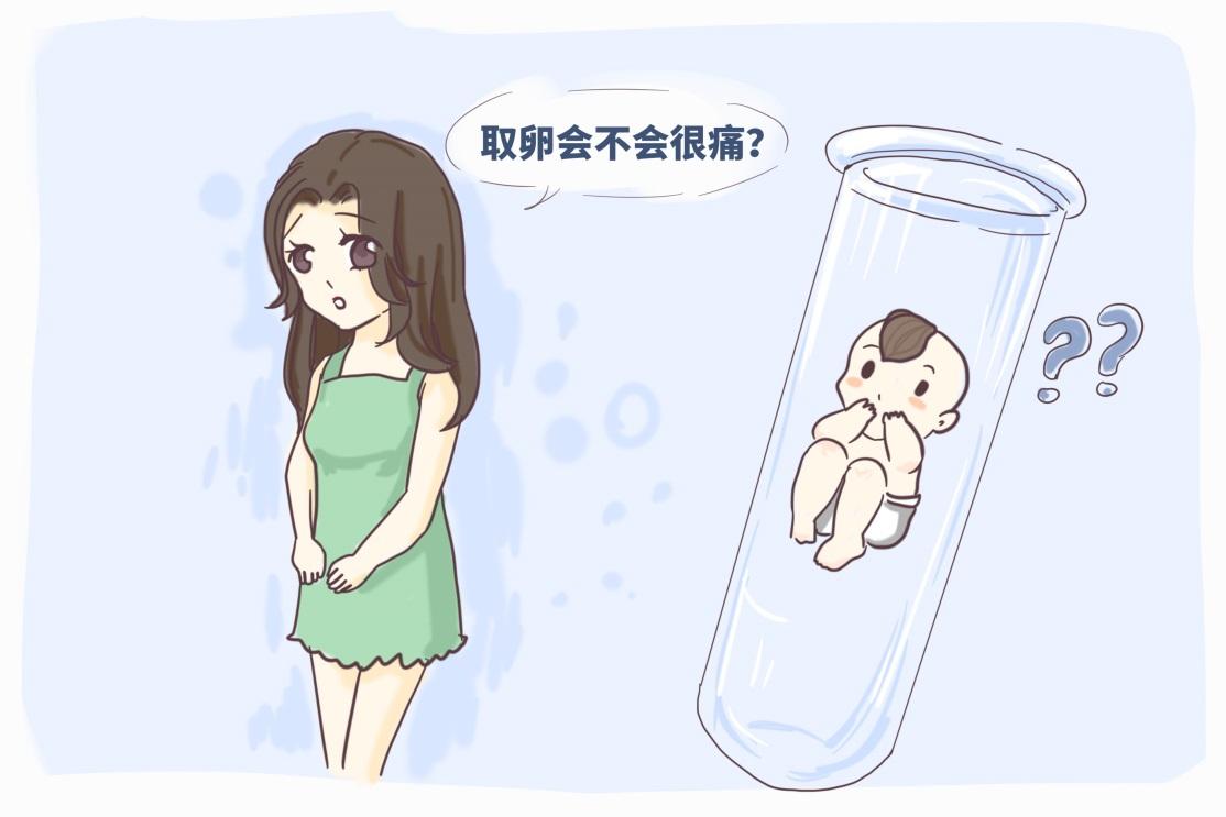 试管大概需要多久