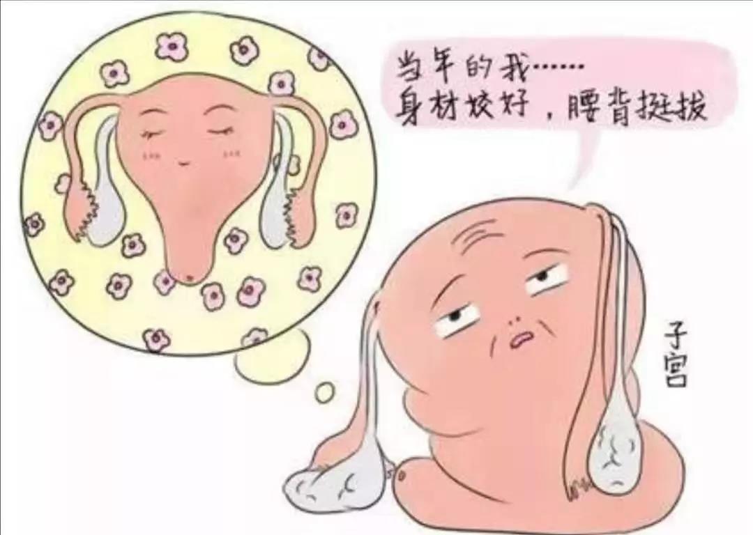 试管婴儿,胚胎解冻多久可以移植