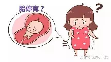北京市试管婴儿医院排名最