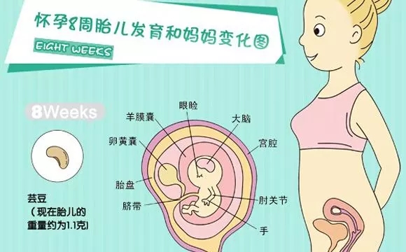 女人无法生育可以做试管