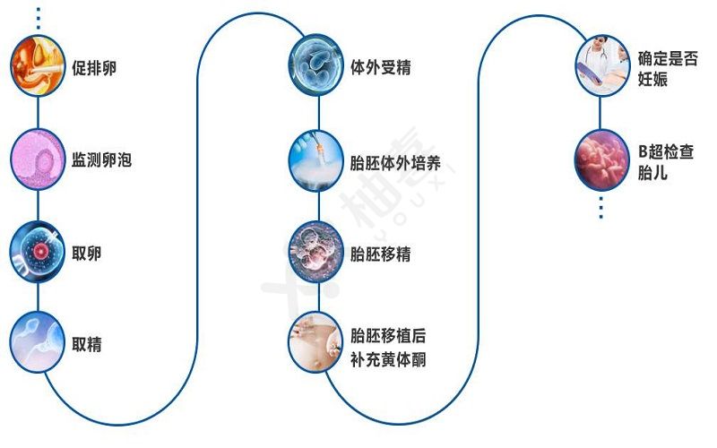 生二胎试管婴儿的全部流程