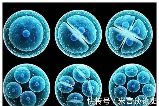 北京做个试管婴儿费用