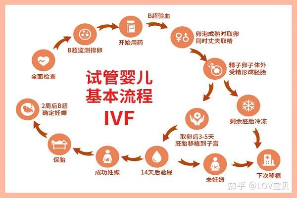 北京人民医院国内医院供卵试管代怀专家如何选择？这些标准看一下