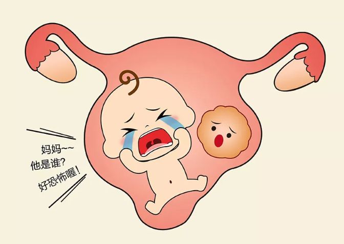 女的和女的可以在国内国内试管代怀的花费吗？