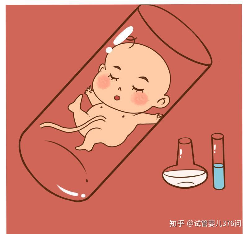 北京借卵试管婴儿成功率哪家医院高？