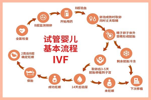 用质量差的卵子培养出囊胚的成功率高吗？