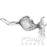 做北京不孕代怀试管求子会不会很痛苦？