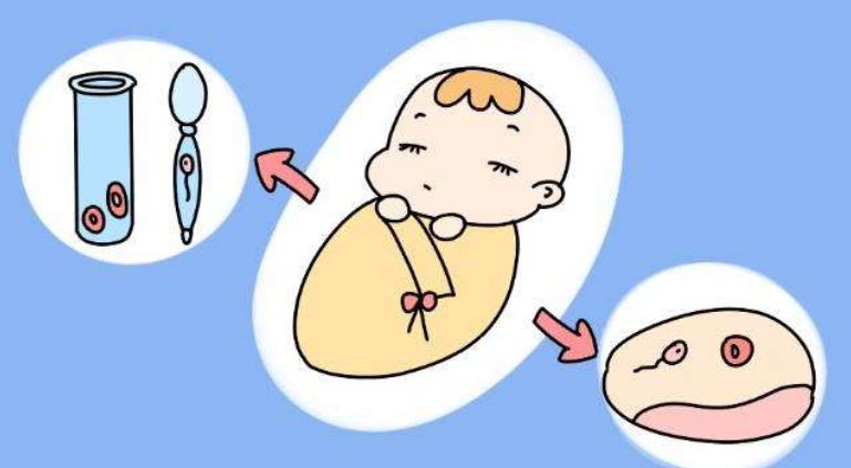 多囊二代试管代怀儿子成功率高,北京市借卵试管代怀方法婴儿哪个医院技术好