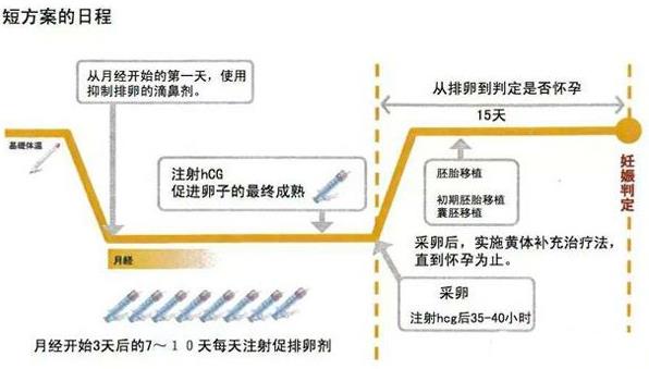 45岁可以供卵代怀婴儿吗（成功的案例多不多？）