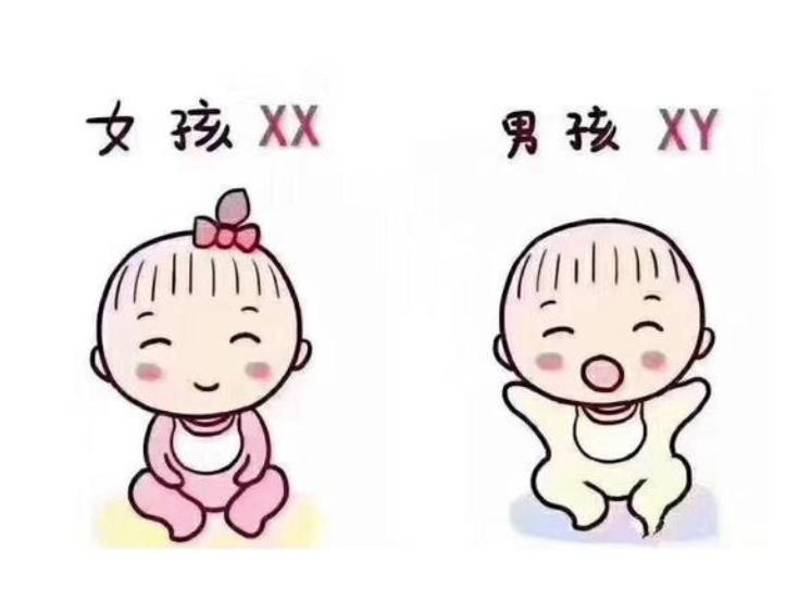 五十岁还可以试管代怀的坏处吗