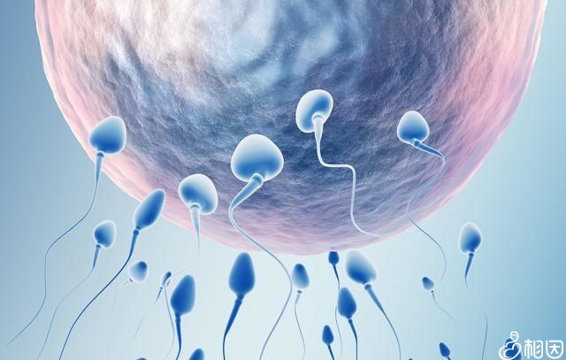 北京妇幼保健院代生一孩子价格要多少钱（北京试管费用参考）