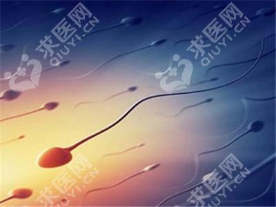 北京第代生网站大概费用多少