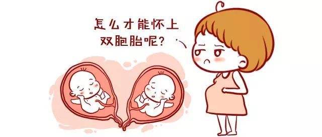 北京代怀费用价格