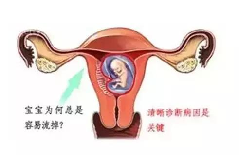 2024北京市省计划生育研究所做借卵试管医院婴儿费用多少钱（附费用明细表）