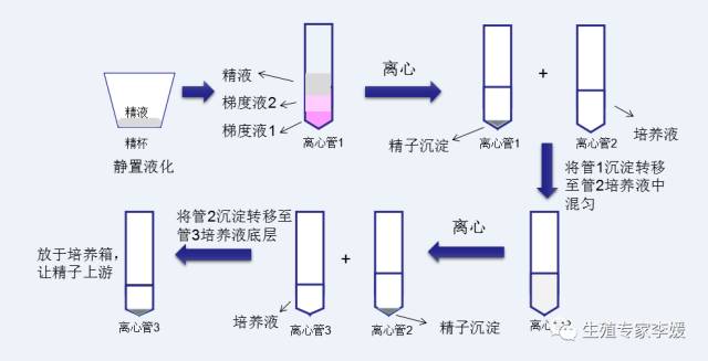 卵巢功能衰退了,是哪些脏器的问题