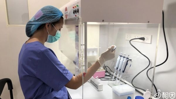 囊胚解冻复苏后为什么要等5天才能进行移植+