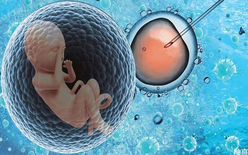 北京三代试管代怀男孩价格前3名医院公布!附代怀小孩哪家靠谱医院费用明细
