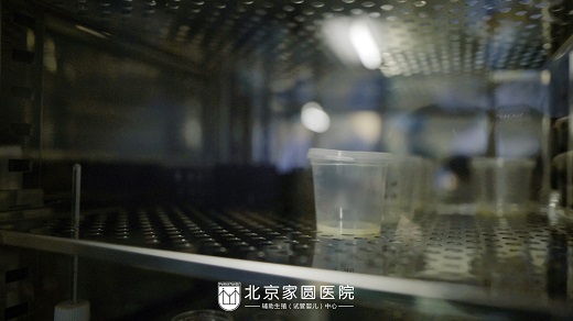 女性为什么会排出空卵
