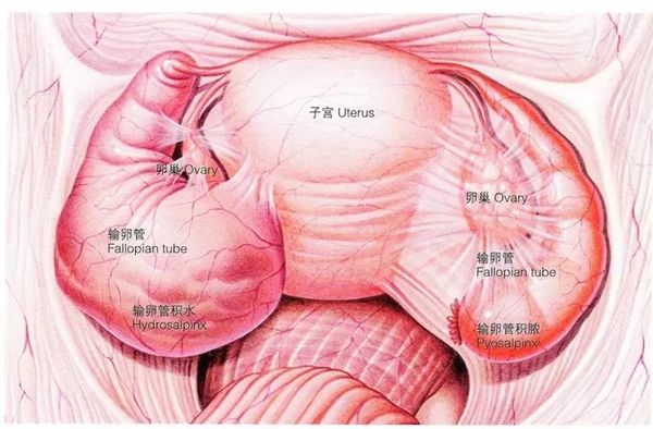 2024年新政策无业孕妇生第一胎国家补贴多少钱